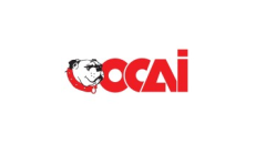 OCAI