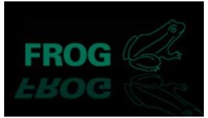 FROG SAS