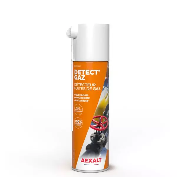 Détecteur de fuites de gaz, Detectgaz, 650 ML - AEXALT - 1588