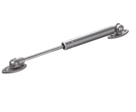 Compas à gaz porte relevante 100N