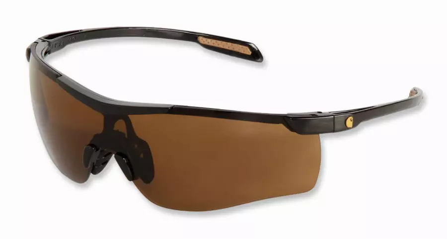 Lunette de protection CARHARTT Cayce - EGB9ST