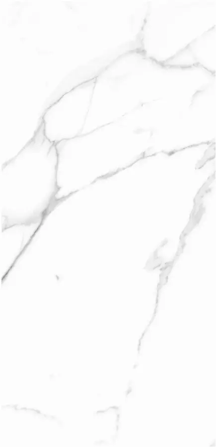 Lot outil de pose cheville Spyder SCELL-IT - Outil + mallette + 250 chevilles