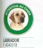 Disque signalisation D.180 "Att.au chien Labrador"