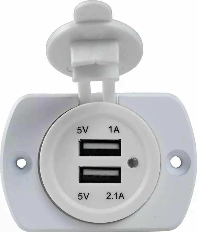 Prise encastrée USB avec deux ports USB blanc - SCHWABE - 61464
