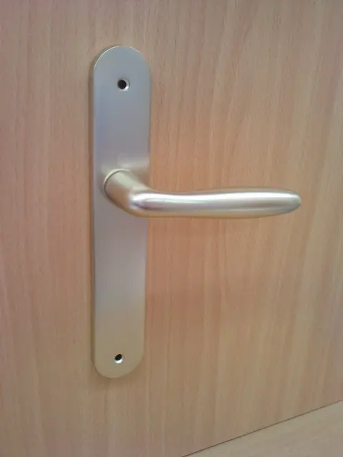 Ensemble de porte VERONA Alu Champagne-[Percement:Ensemble percé en trou de cylindre]