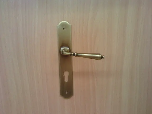 Ensemble de porte FRANCE Laiton satiné