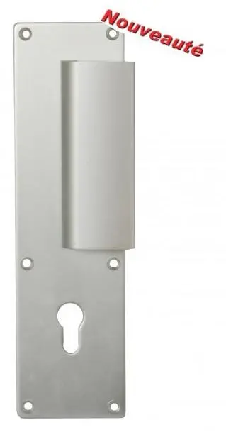 Poignée palière JASMIN Renforcée aluminium montée sur plaque