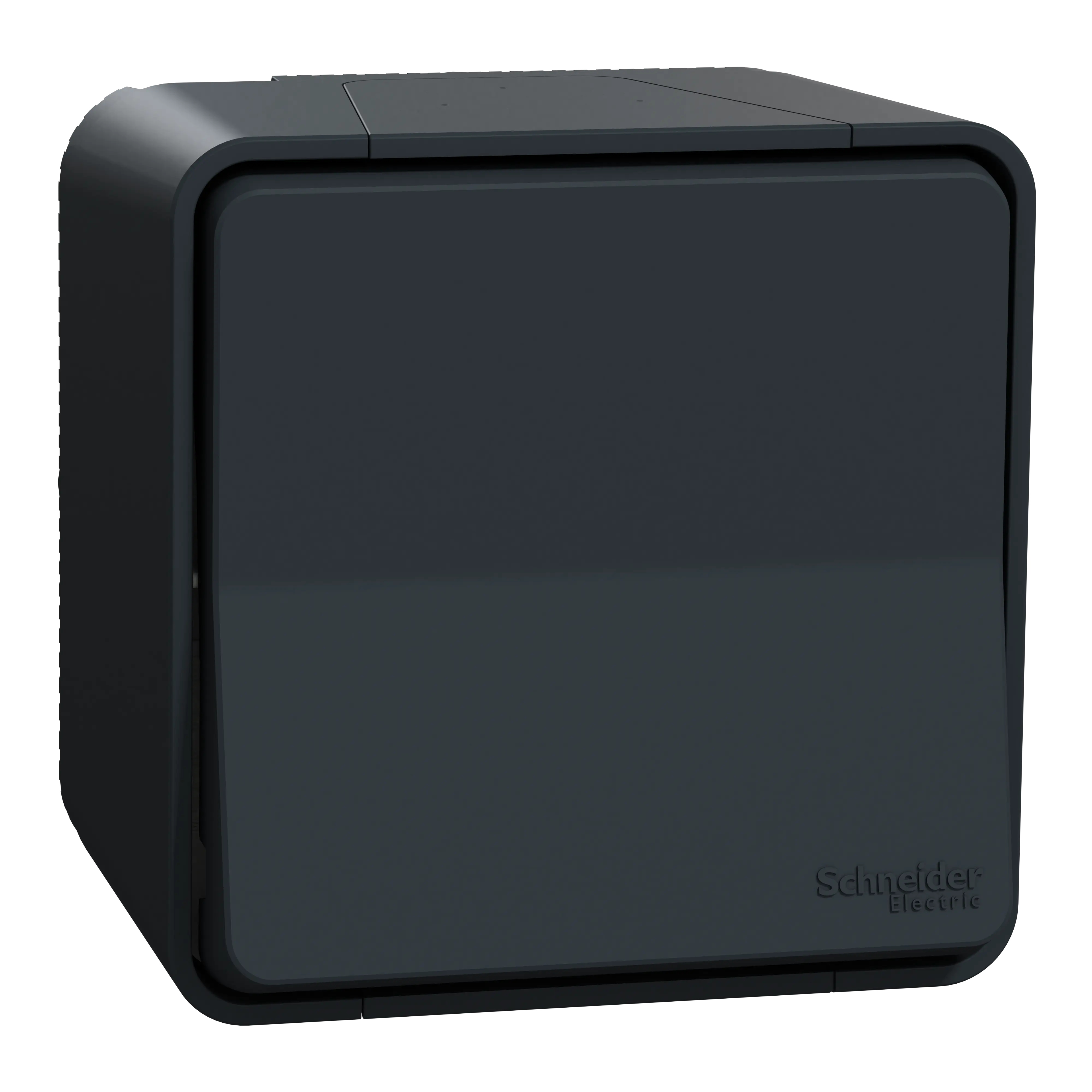 Mureva Styl - Va et vient - saillie - IP55 - IK08 - connexion auto - gris - SCHNEIDER ELECTRIC - MUR35021