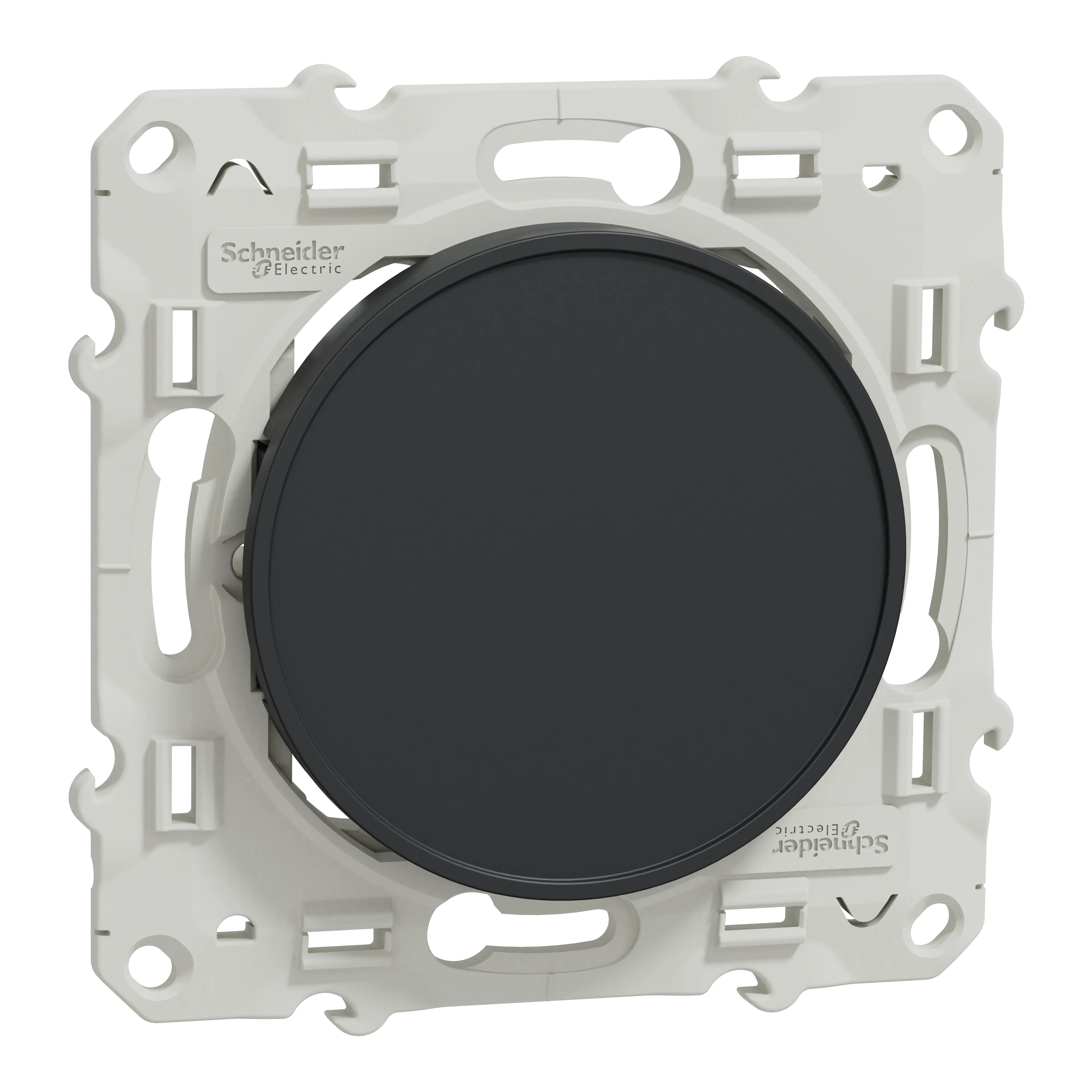 Odace - Obturateur - anthracite - fixation par vis - SCHNEIDER ELECTRIC - S540666