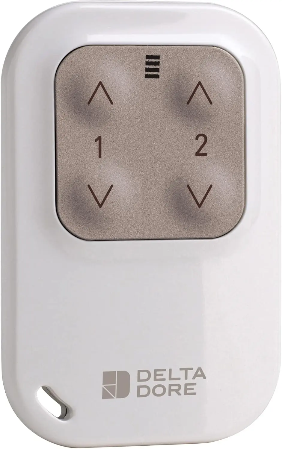 Télécommande porte-clé radio 2 voies pour éclairage ou volet roulant - Tyxia 1400 - DELTA DORE - 6351388