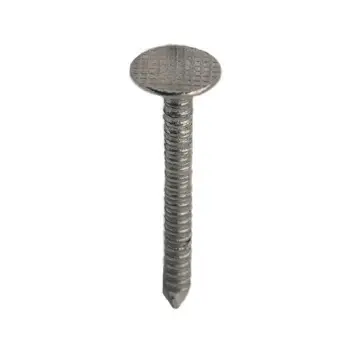 Pointe tête large inox annelée - boîte de 5 kg - CONNECTON - C73200