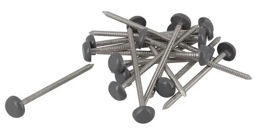 Boîte 100 clous inox tête anthracite 65mm - NICOLL - CI65A