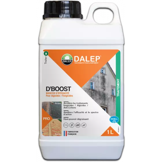 D'BOOST Booster d'efficacité pour Traitement anti-dépots verts - DALEP - 1L - 190 001