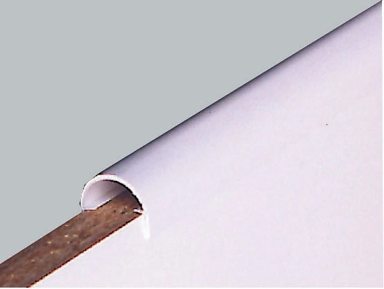 Profil chant rond 19 x 22 PRUNIER Blanc 2.6 m - RBP1922