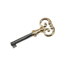 Clé 1520 DUBOIS SAS - Fer poli - Tige 40 mm - Paneton ajusté - 150004