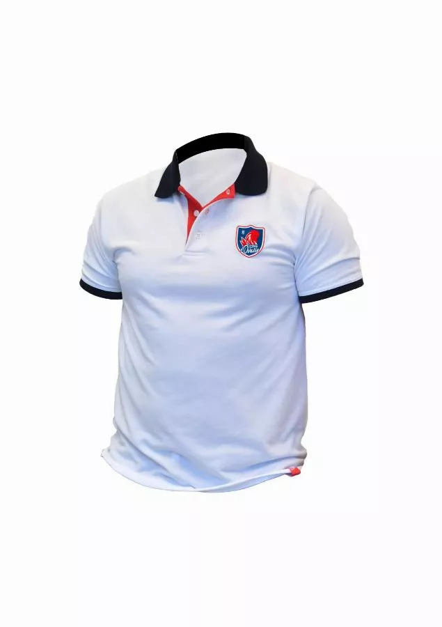 Polo manches courtes - TRICOTS BONNEMAILLE - France Barjo 