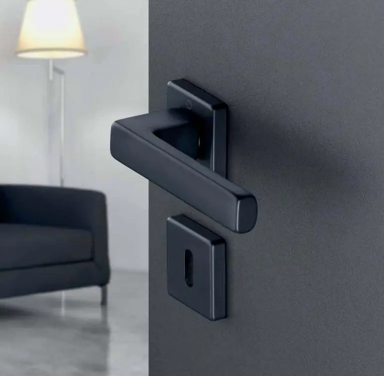 Ensemble de porte TOULON   Epoxy Noir  HOPPE-+ Paire de rosaces trou clé