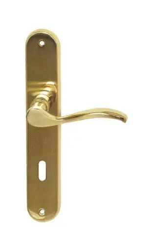 Ensemble de porte SIENA Laiton Poli Verni