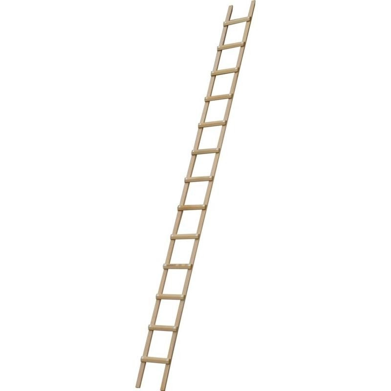 Echelle plate de toit RICHOMME 4.50 m écart.33 cm - B3145033