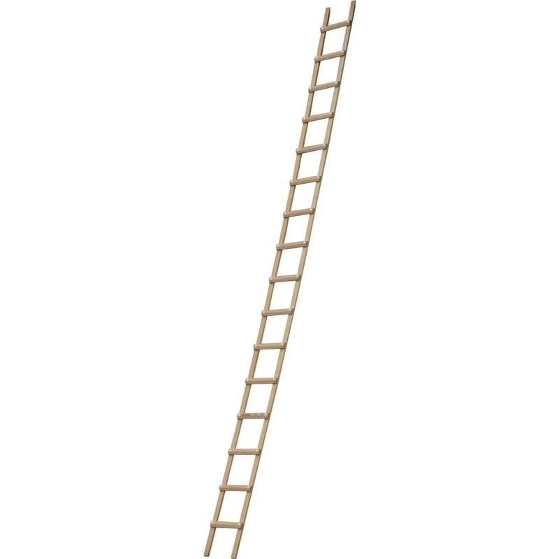 Echelle plate de toit RICHOMME 5.00 m écart.33 cm - B3150033