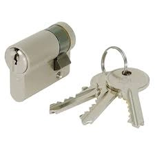 1/2 cylindre IFAM F5S - 30 x 10 - nickelé - varié - 1900