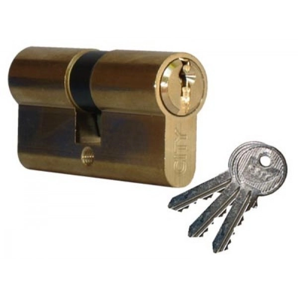 520930409 Cylindre double City varié - 30 x 40 - Laiton nickelé 