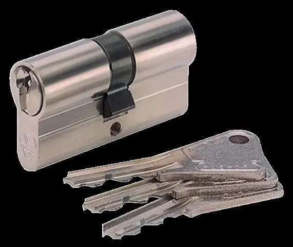 Cylindre V5 7101 VACHETTE Laiton nickelé varié 35x35 mm + 3 clés - 17155000 