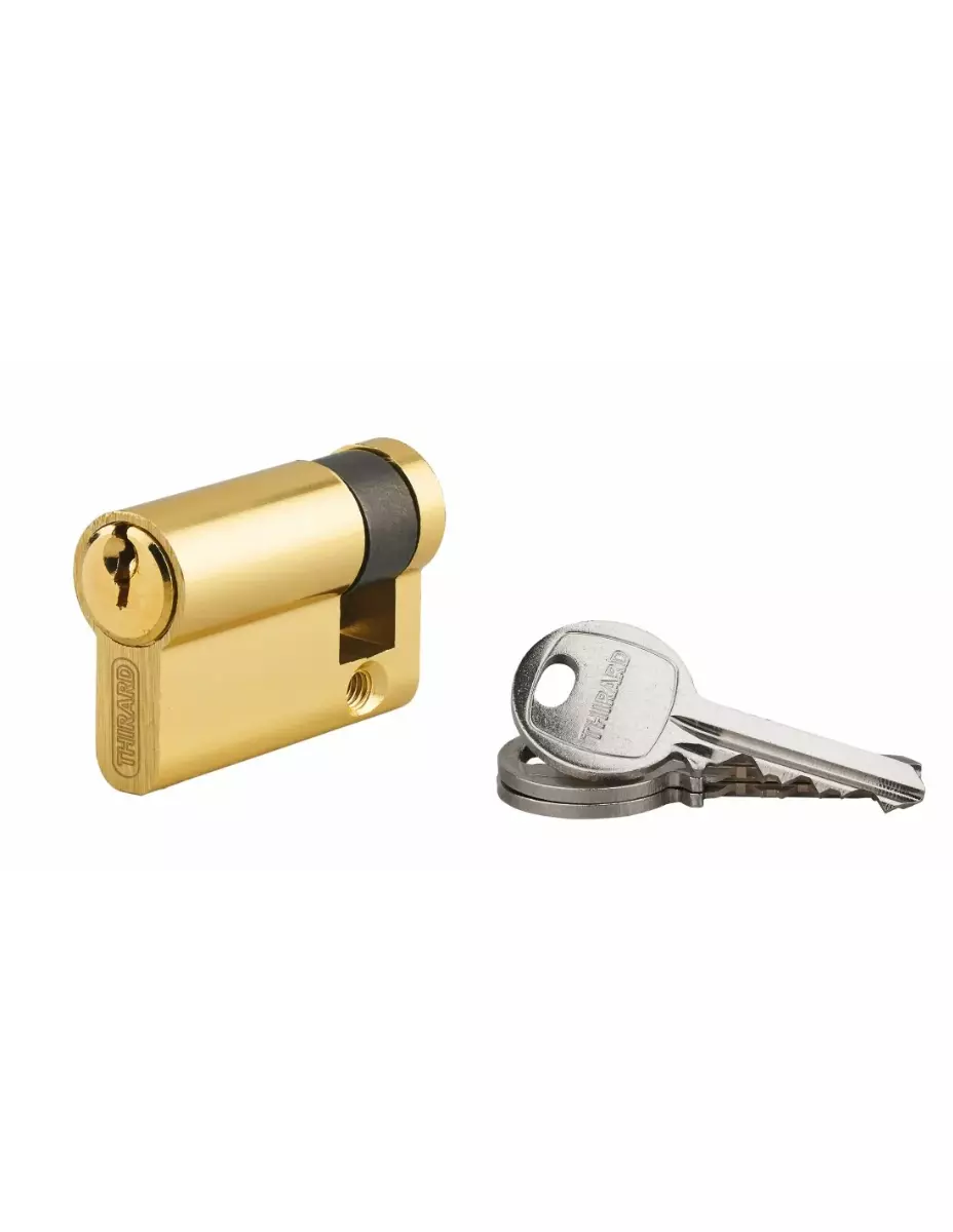 Cylindre de serrure à clé crantée Ecopro laiton - Demi-cylindre - 40 x 10 - Varié - THIRARD - 00007950