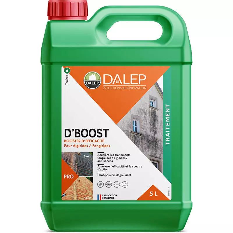 D'BOOST Booster d'efficacité pour Traitement anti-dépots verts - DALEP - 5L - 190 005