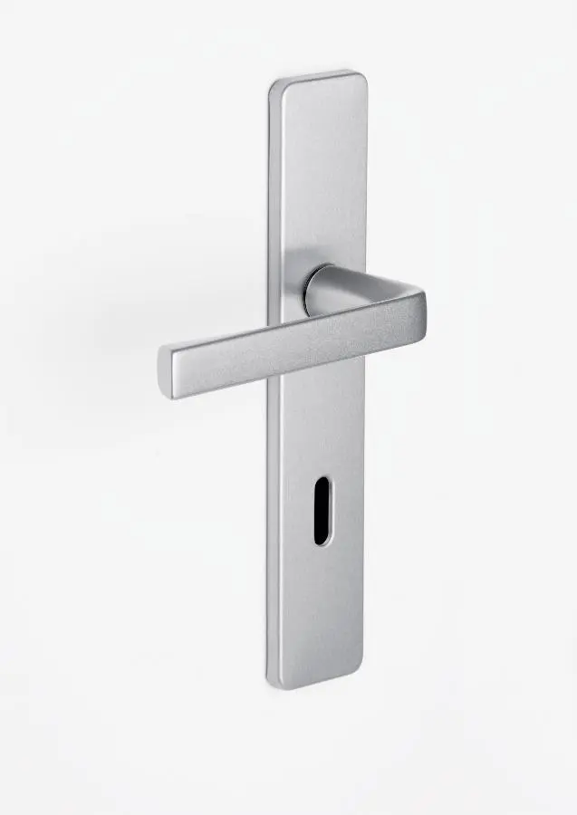 Ensemble KAZA - Plaque 220 x 42 mm - Entraxe de fixation 195 mm - Argent - 1364/6331 Cle L