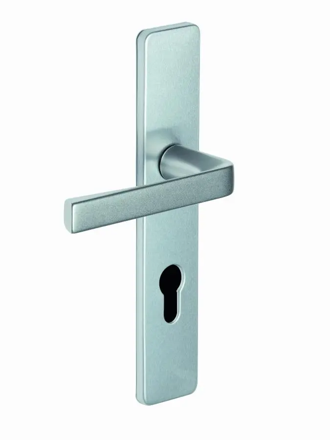 Ensemble KAZA - Plaque 220 x 42 mm - Entraxe de fixation 195 mm - Argent - 1364/6331 Cle I