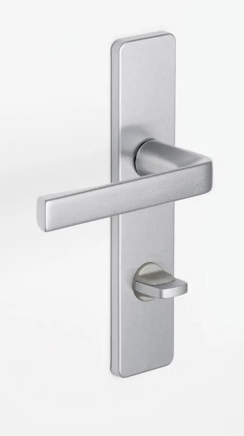 Ensemble KAZA - Plaque 190x42 mm - Entraxe de fixation 165mm - Argent - 1364/6329 CONDAMNATION