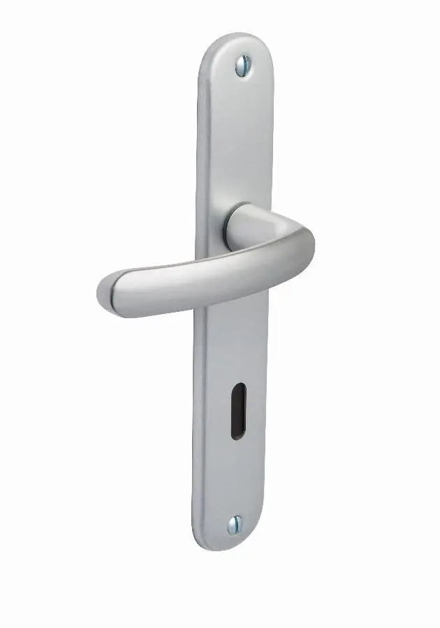 Ensemble de porte Budget BEZAULT entraxe 195 mm Clé L - Argent - 204856