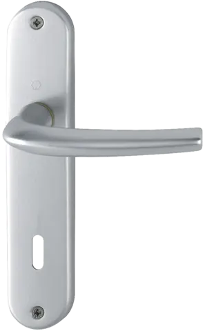 Ensemble de porte San Diego 1191/347 HOPPE Alu Argent F1 - Clé L - 3230320