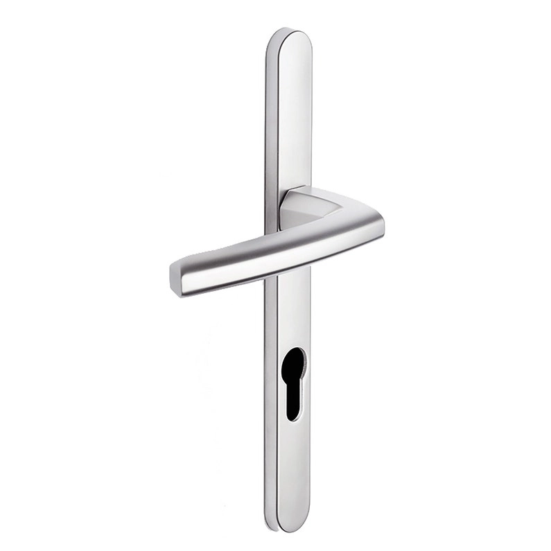 Ensemble sur plaque étroite 24 mm Scult Clé i BEZAULT platine - 204426