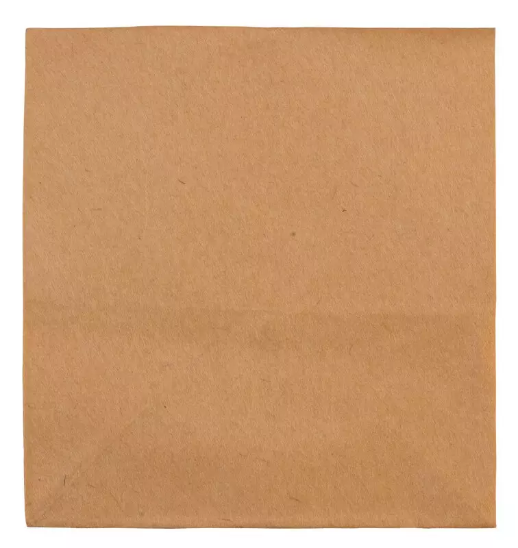 Filtre papier pour aspirateur eau et poussière - 10 pièces - EINHELL - 2351100