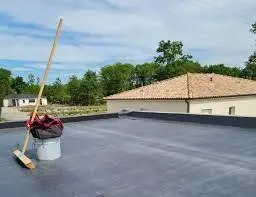 Ep EPDM thermo moulé 65x100 L.300 firestone - 090300065100