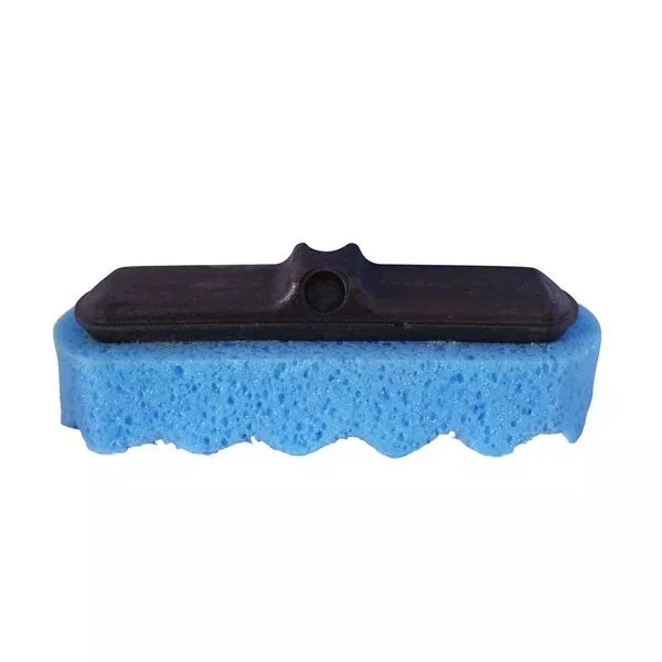 Eponge vague, 25cm - AEXALT - EP959