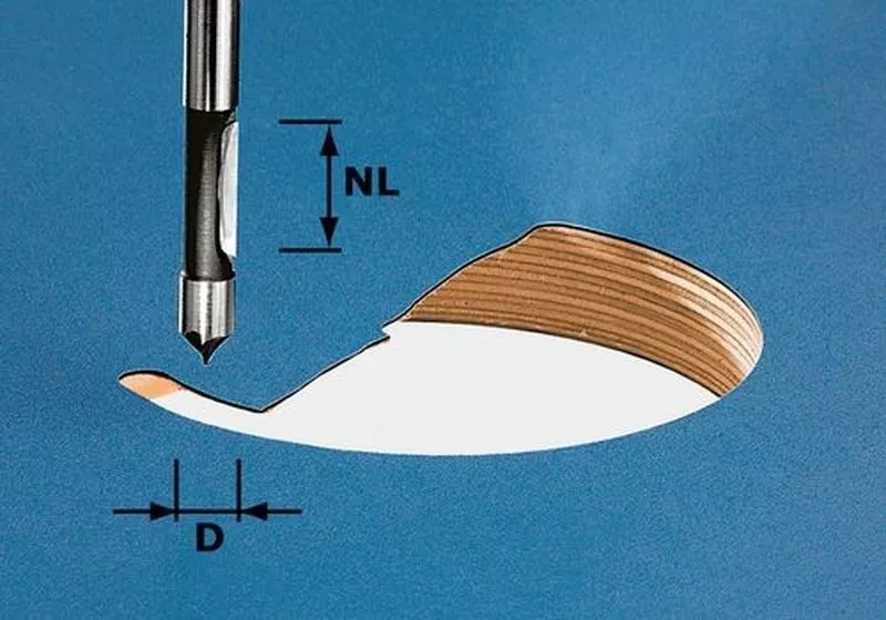 Fraise de perçage HW avec queue de 8mm FESTOOL HW S8 D8/19 - 491037