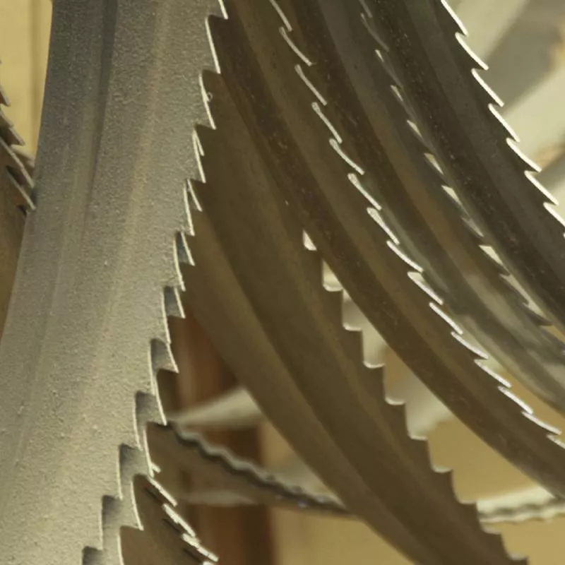 Lame scie ruban 14 Z/1" 1735x13x0.9 mm FEMI 785XL - 3289925