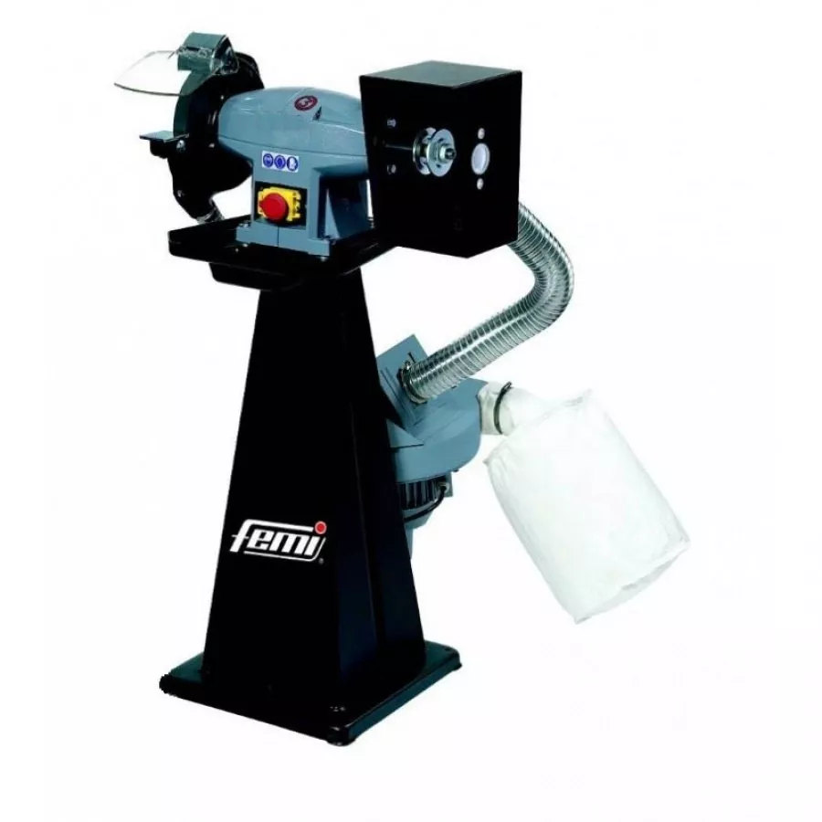 Touret combiné FEMI 198 EVO - 1100 W Triphasé - Ø 200x30x20 mm - Sans meule, ni brosse - 8005432