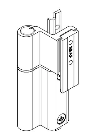 Paire de paumelle centrale Galicube FAPIM ral 9010 Blanc - 1409A_32