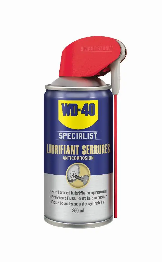 Lubrifiant serrures 250 ml système professionnel WD40 - Lot de 12 - 33303