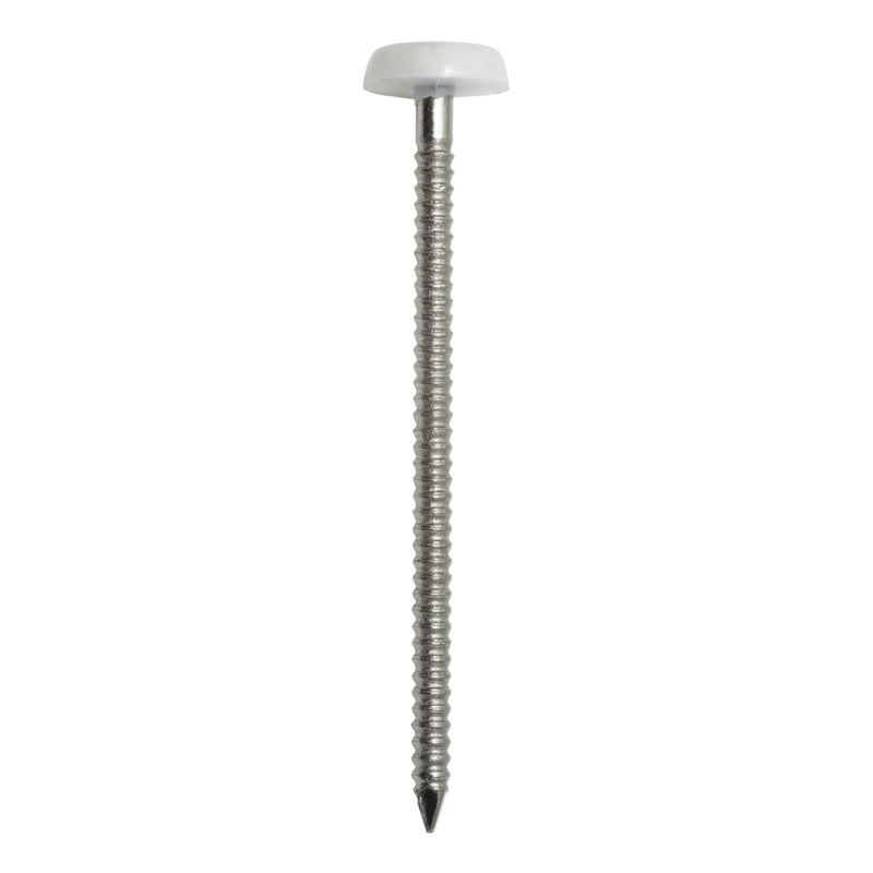 Boîte de 100 Pointes annelées inox A4 ACTON - tête bombée PVC - 50 x 2.5mm - 647882,5X50CDT100P