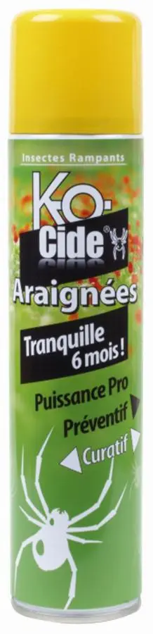 Insecticide Laque anti-araignées KOCIDE 405 ml - KA