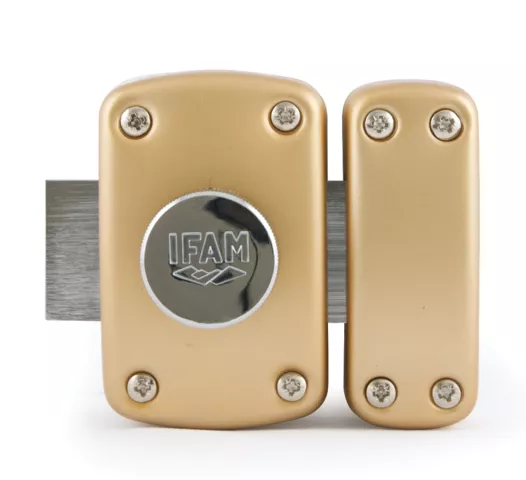 Verrou haute sureté IFAM à bouton B6
