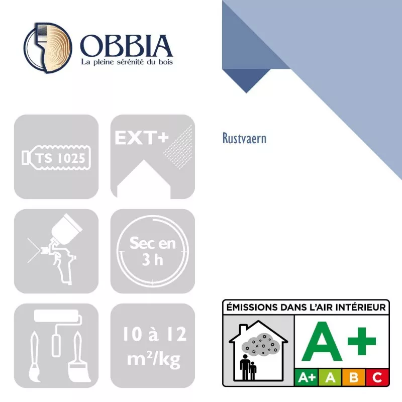 Primaire antirouille RUSTVAERN OBBIA - RUST