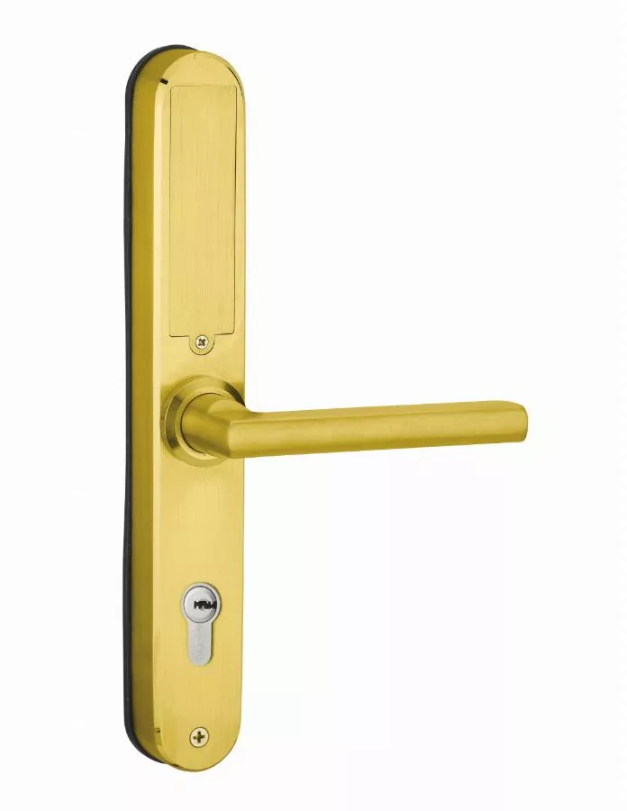 Garniture de porte Intelock Multi THIRARD 