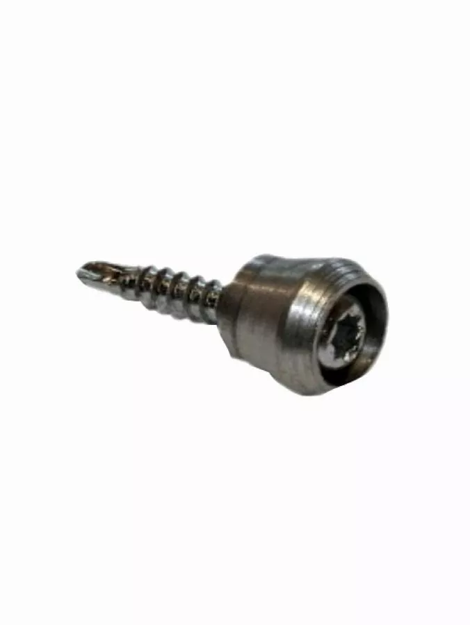 Vis pareclose autoperçeuse JOURJON - 69279